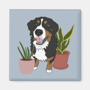 Imán Perro de montaña de Bernese