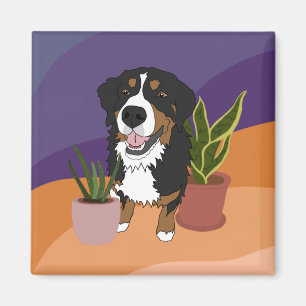 Imán Perro de montaña de Bernese