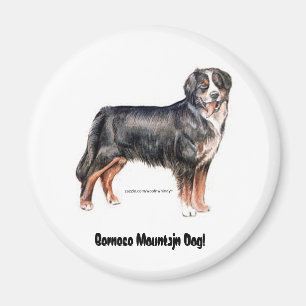 Imán Perro de montaña de Bernese