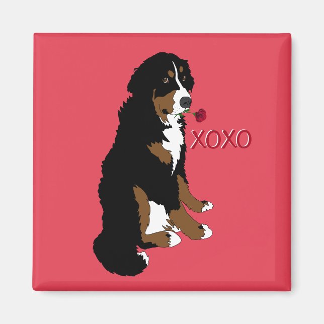 Imán Perro de montaña de Bernese (Frente)