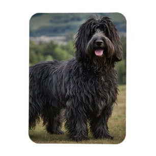 Imán Perro de oveja de color lana negra de Bergamasco,