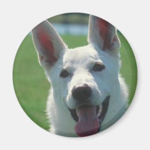 Imán Perro de pastor alemán blanco