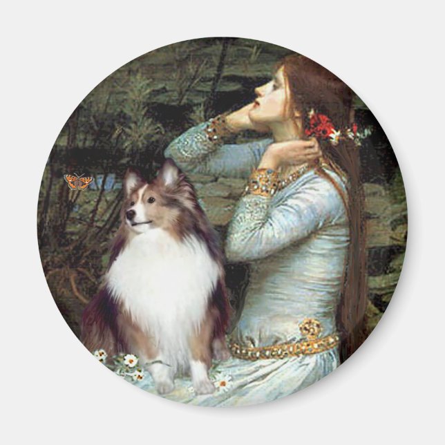 Imán Perro de pastor de las islas Shetland 18 - Ofelia  (Frente)