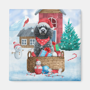Imán Perro de perro caniche en Navidades de nieve Casa