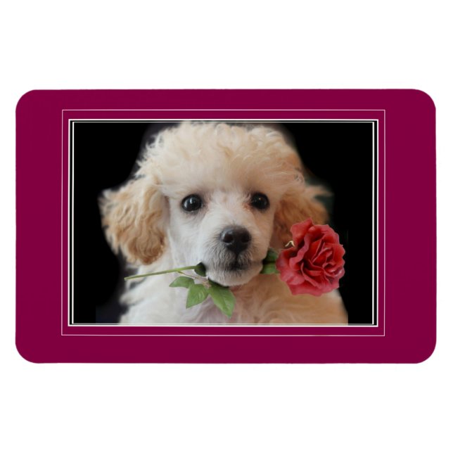 Imán Perro de perro de perro de perro de juguete 4x6 de (Horizontal)