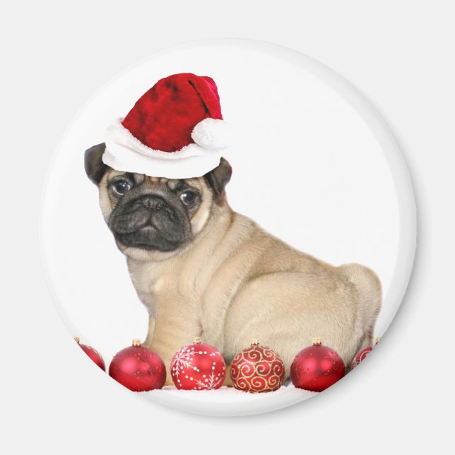 Imán Perro de pug de navidades (Frente)