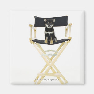 Imán Perro de Shiba Inu en la silla del director