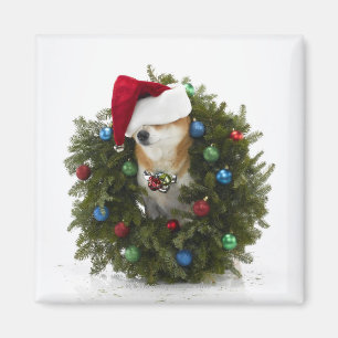Imán Perro de Shiba Inu que lleva el gorra de Santa que