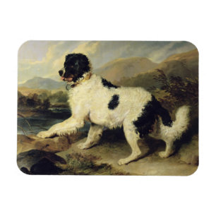 Imán Perro de Terranova llamado León, 1824 (aceite en l