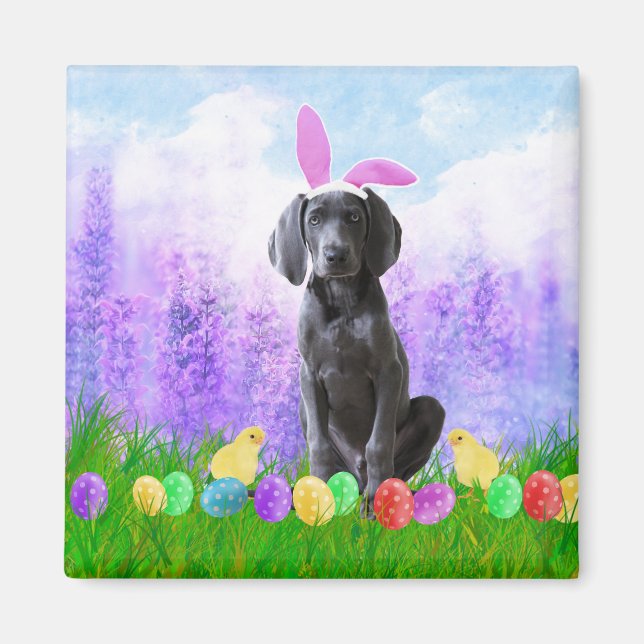 Imán Perro de Weimaraner con huevos de Pascua y pollito (Frente)
