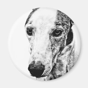 Imán Perro de Whippet