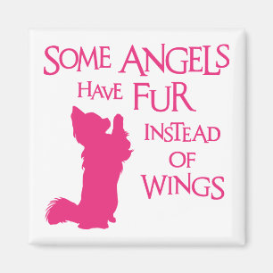IMÁN PERRO DEL ÁNGEL