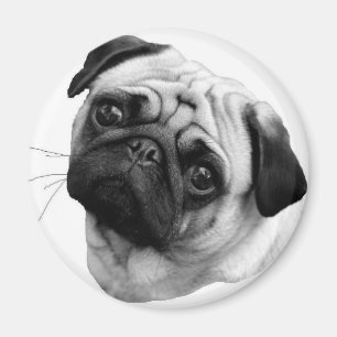 Imán Perro del barro amasado