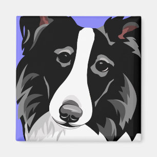Imán Perro del border collie
