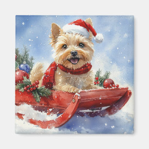 Imán Perro del Cairn Terrier en riesgo deja que nieve N
