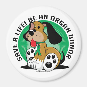 Imán Perro del donante de órganos