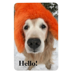 Imán Perro del golden retriever con el gorra borroso