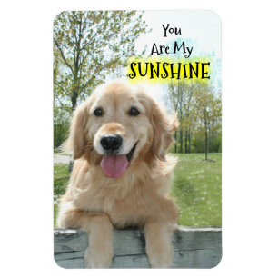 Imán Perro del golden retriever en la cerca usted es mi