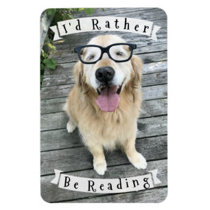 Imán Perro del golden retriever que estaría leyendo