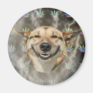 Imán Perro del Pothead
