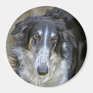 Imán Perro del rescate del Borzoi
