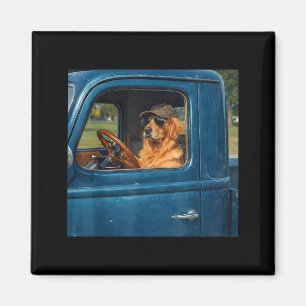Imán Perro divertido meme de golden retriever conducien