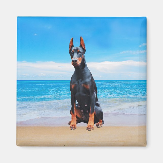 Imán Perro Doberman Sentado En La Playa (Frente)
