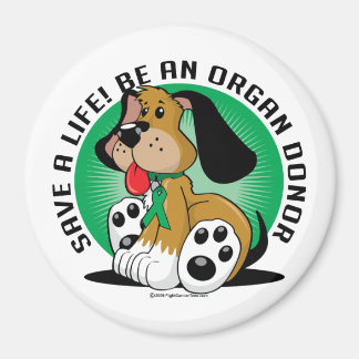 Imán Perro donador de órganos