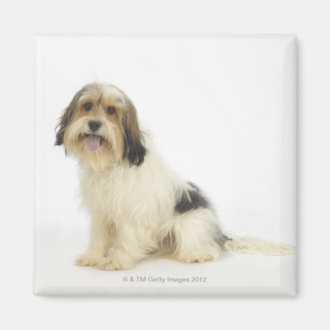 Imán Perro en blanco 104 (Frente)