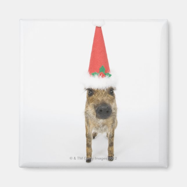 Imán Perro en gorra de Navidades (Frente)