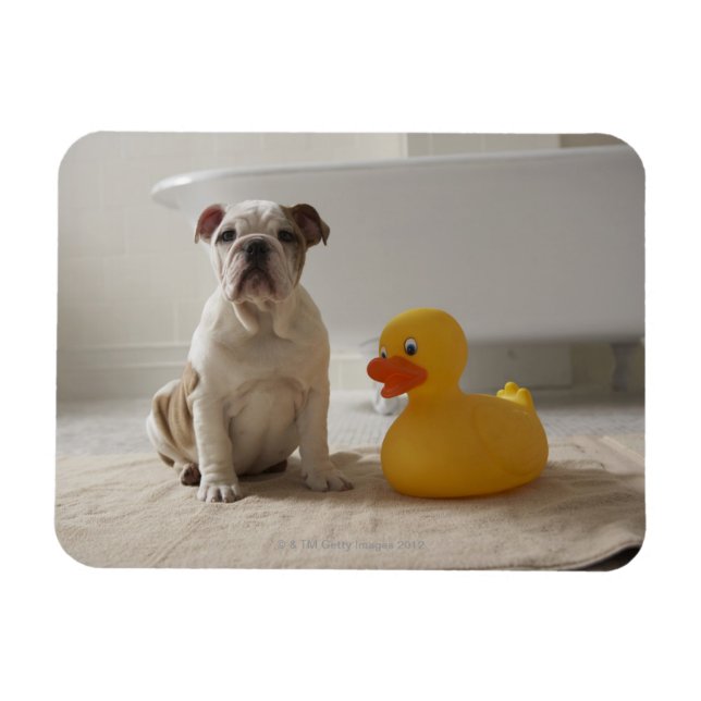 Imán Perro en la estera con pato de plástico (Horizontal)