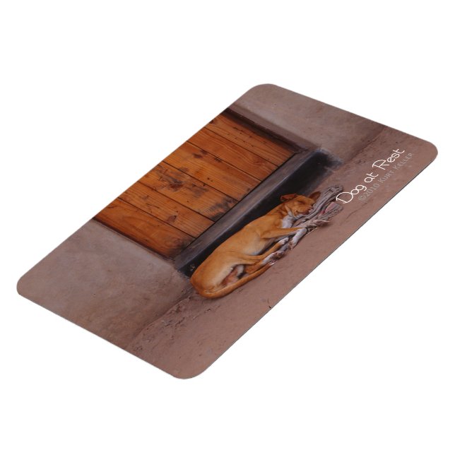 Imán Perro en Reposo (Lado Izquierdo)