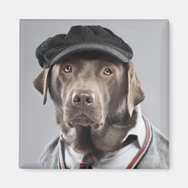 Imán Perro en suéter y gorra (Frente)