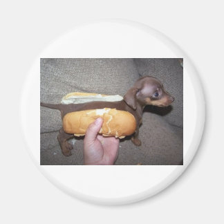 Imán Perro en un bollo