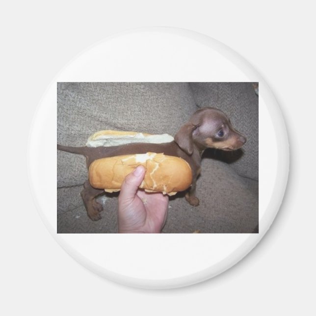 Imán Perro en un bollo (Frente)