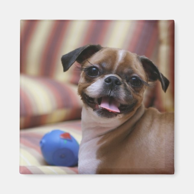 Imán Perro feliz con juguete (Frente)