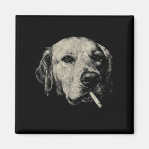 Imán Perro fumando cigarrillo divertido meme de golden