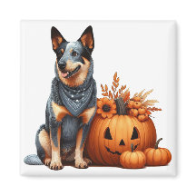 Perro Ganadero Australiano junto a una Jack-O-Lant