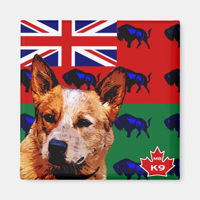 Imán Perro ganadero australiano Manitoba (Frente)