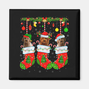 Imán Perro Goldendoodle con calcetines de Navidad Perro
