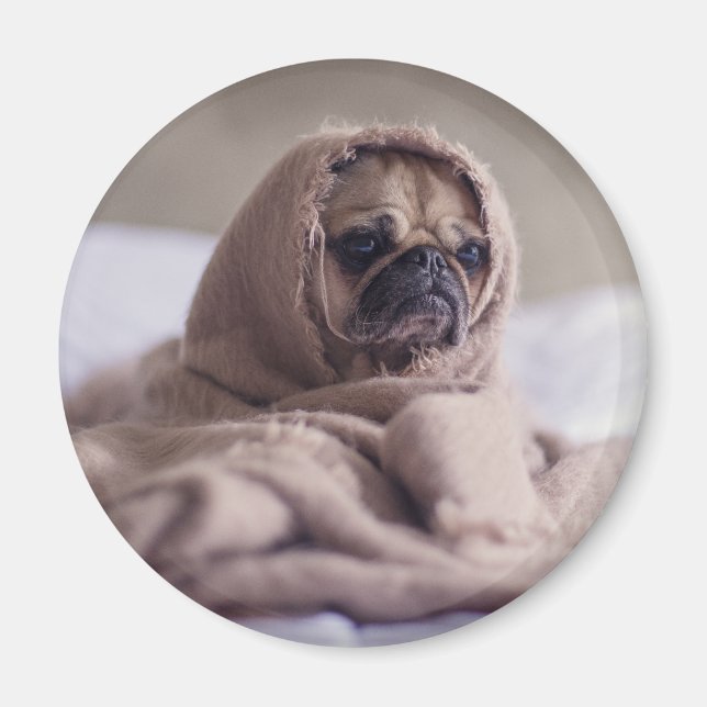 Imán Perro gracioso (Frente)