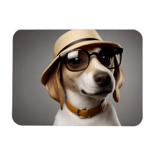 Imán Perro gracioso con gafas y gorra