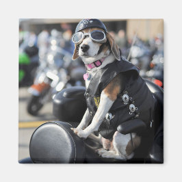 Imán Perro gracioso en motocicleta.