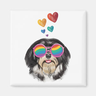 Imán Perro Havanés con Corazones Día de San Valentín