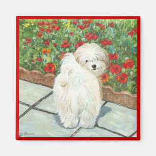 Imán Perro Havanés e imprenta arte