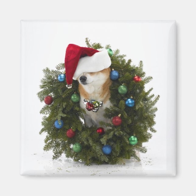 Imán Perro Inu Shiba con sombrero Santa (Frente)