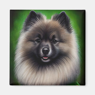 Imán Perro Keeshond con vestido de San Patricio