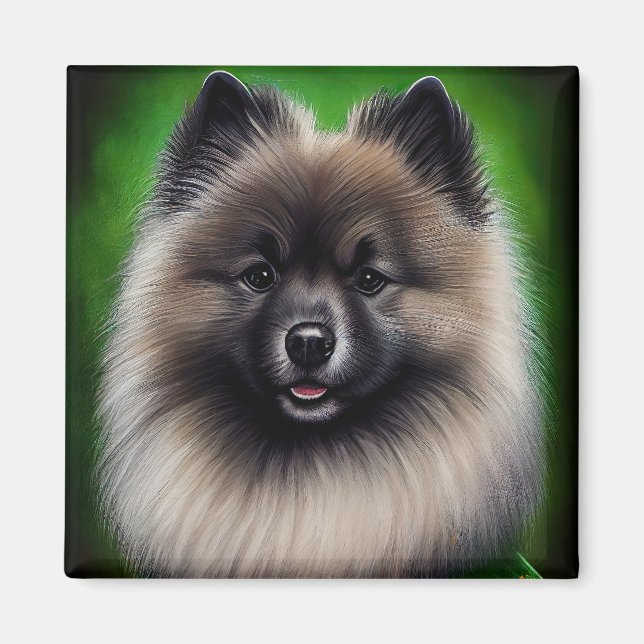Imán Perro Keeshond con vestido de San Patricio (Frente)