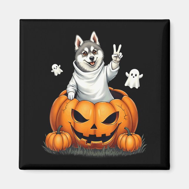 Imán Perro Klee Kai de Alaska de Fantasma Boo de Calaba (Frente)