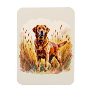 Imán Perro Labrador Retriever Fox Rojo